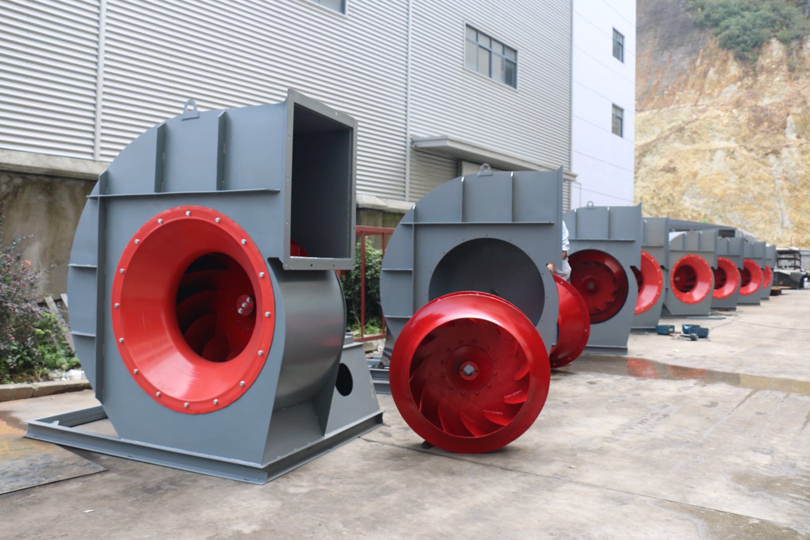 �x��ʽ�L(f��ng)�C(j��)